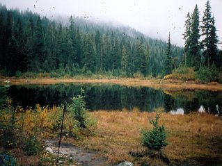Main body of Munro Lake, Munro and Dennett Lakes 2003-10.